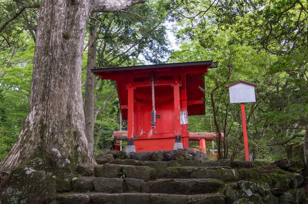 Primer Plano Hermoso Santuario Rojo Cerca Del Lago Ashi Japón — Foto de Stock