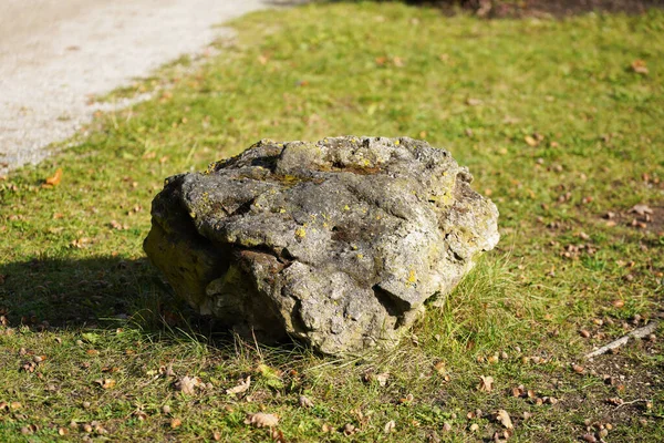 Egy Nagy Füvön Mellett — Stock Fotó