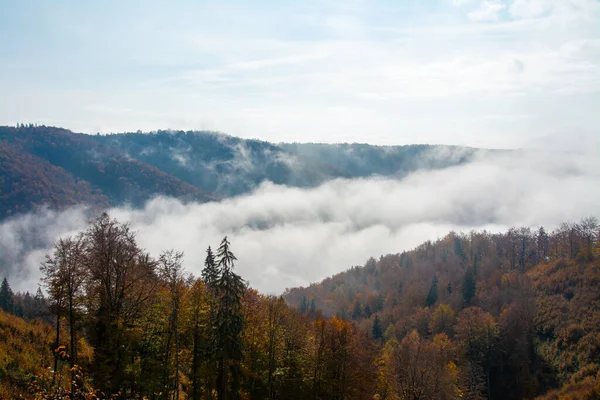 Een Mistig Landschap Een Bergdal — Stockfoto