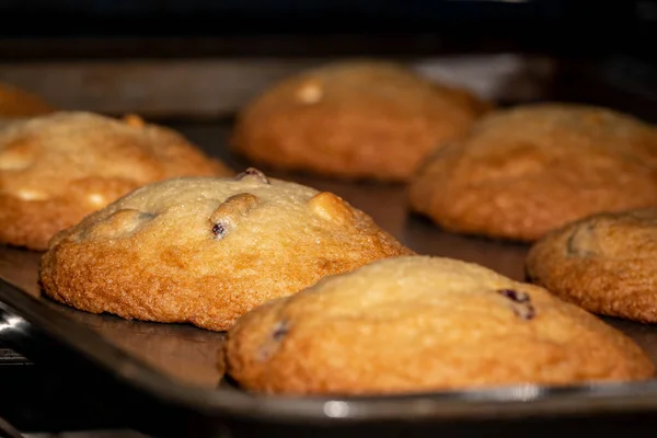 Een Close Shot Van Verse Zelfgebakken Chocolade Chip Koekjes — Stockfoto