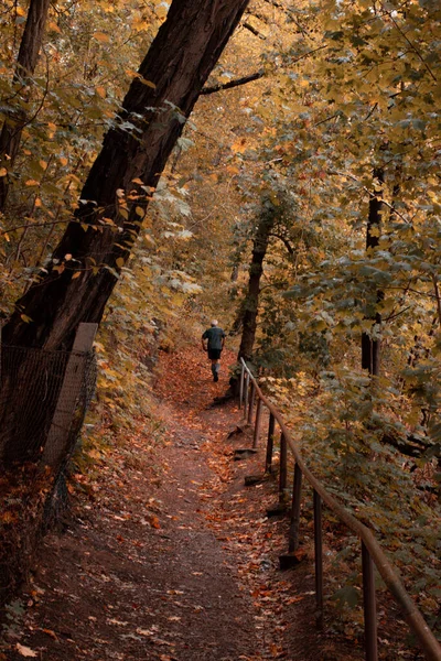 Una Vista Vertical Hacia Atrás Hombre Mayor Corriendo Largo Sendero — Foto de Stock