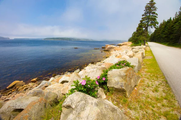 View Road Acadia National Park Maine Cloudy Sky Stock Image