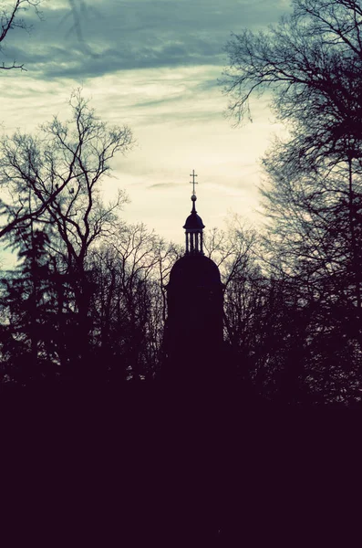 Plan Vertical Une Église Dans Une Forêt — Photo