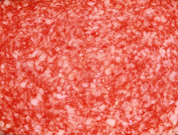 Primer Plano Jugoso Fresco Trozo Salami Ahumado — Foto de Stock