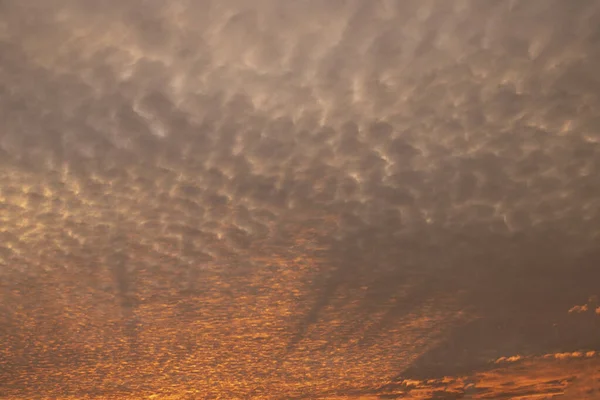 オレンジ色の日没の間に曇った空の低い角度のショット — ストック写真
