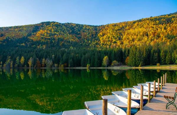 Una Foresta Autunnale Vicino Lago Con Riflessi Alberi Nell Acqua — Foto Stock