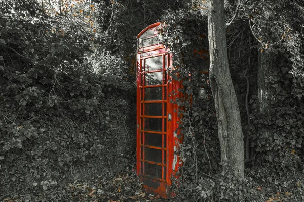 森林灰蒙蒙的照片 中间有一个红色的电话亭 — 图库照片