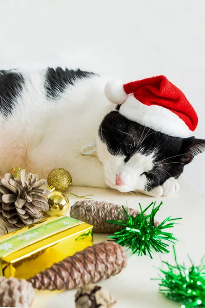 Eine Weiße Und Schwarze Katze Mit Weihnachtsmannmütze Mit Ornamenten Schläft — Stockfoto
