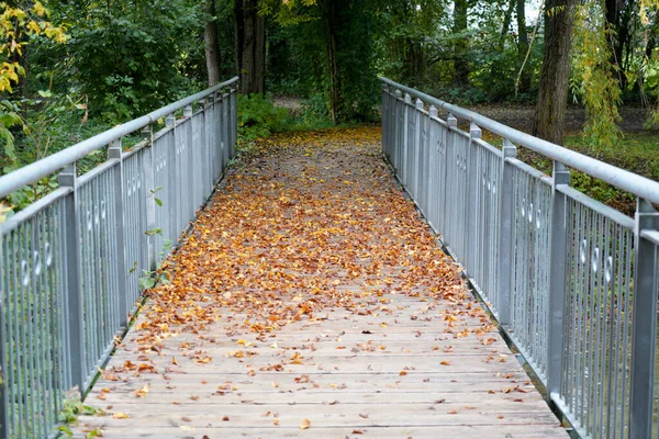 Eine Brücke Mit Herbstblättern — Stockfoto