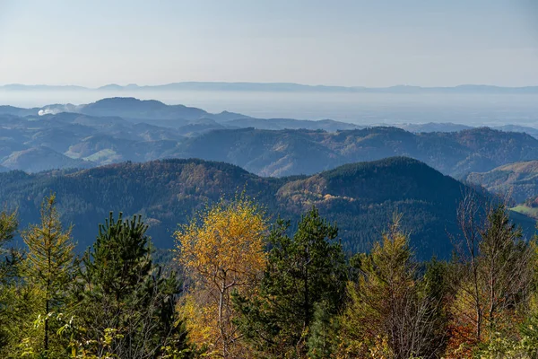 Eine Wunderschöne Berglandschaft Schwarzwald — Stockfoto