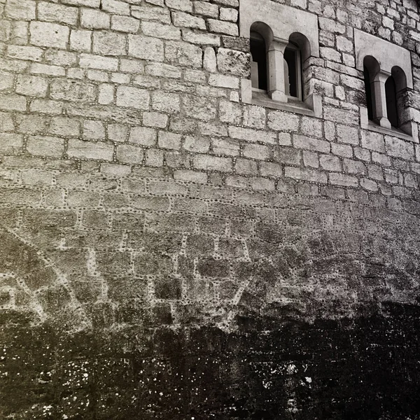 一座旧石楼正面的一个低角度的镜头 — 图库照片