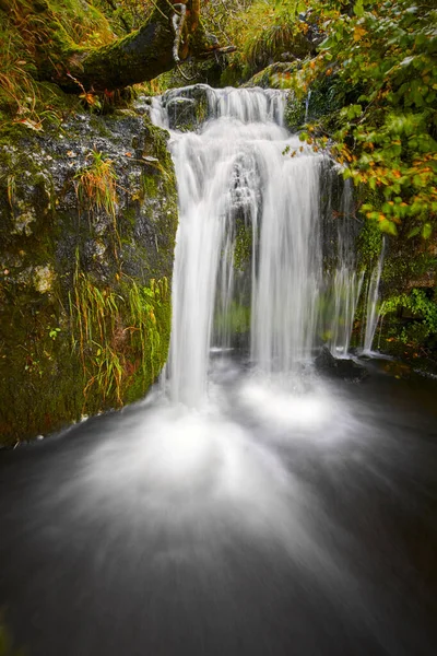 Uma Bela Cachoeira Nas Rochas Coberta Musgo Floresta — Fotografia de Stock