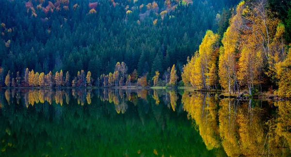 Una Foresta Autunnale Vicino Lago Con Riflessi Alberi Nell Acqua — Foto Stock