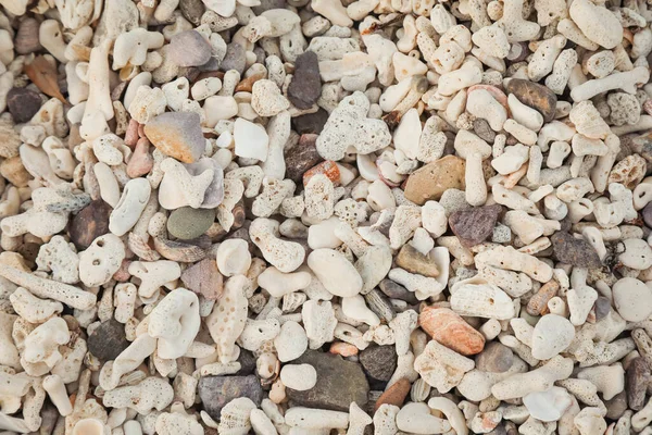 ภาพบนส ดของปะการ งและห นบนชายหาด — ภาพถ่ายสต็อก