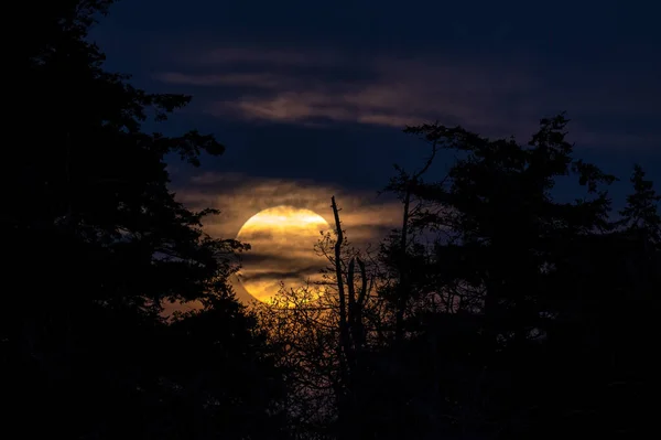 Luna Llena Capturada Desde Laguna Esquimalt Victoria Canadá Concepto Misterioso — Foto de Stock