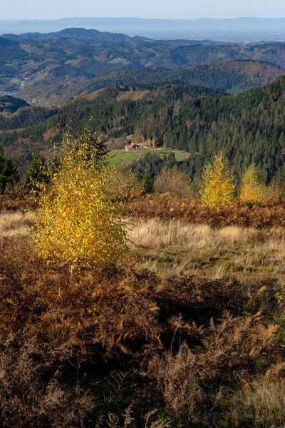 Beau Paysage Montagneux Dans Forêt Noire Allemagne — Photo