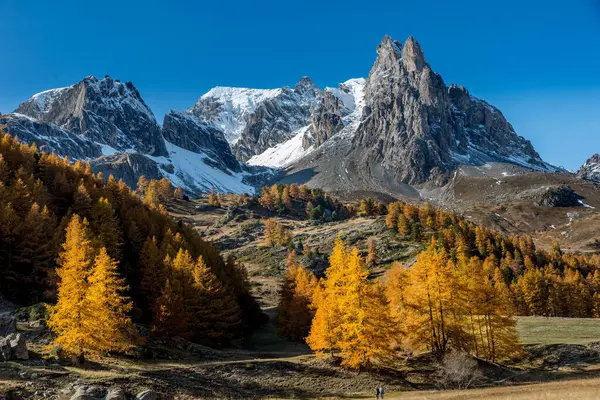 Widok Jesiennych Liści Drzewach Wysokim Zaśnieżonym Szczytem Gór Tle — Zdjęcie stockowe