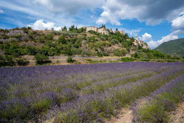 Uma Paisagem Campo Lavanda Cercado Por Edifícios Colinas Abaixo Céu — Fotografia de Stock