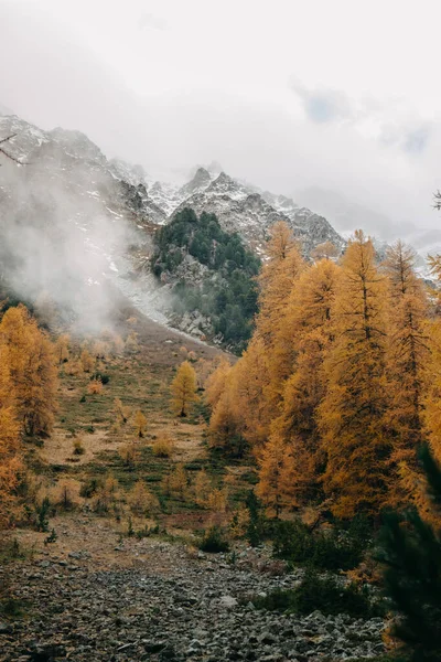 Een Fantastische Verticale Opname Van Laagvliegende Zware Wolken Die Herfst — Stockfoto