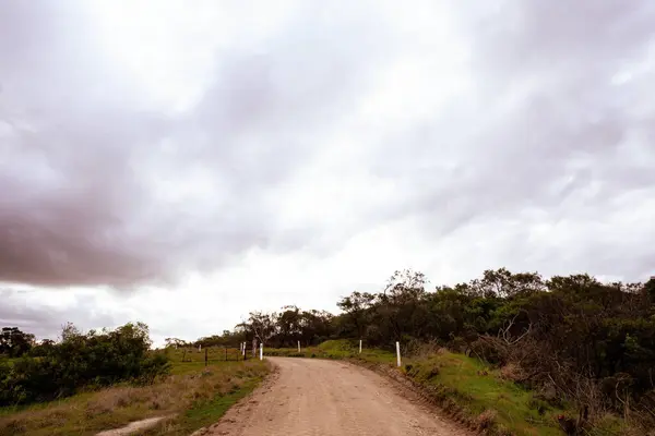 Una Splendida Vista Una Strada Campagna Immersa Nel Verde Sotto — Foto Stock