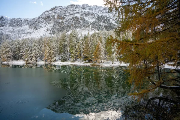 Uma Paisagem Lago Cercado Por Árvores Cobertas Neve Inverno Perfeito — Fotografia de Stock