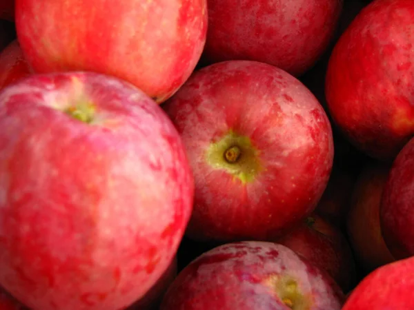 Detailní Záběr Hromadu Čerstvého Červeného Jablka — Stock fotografie