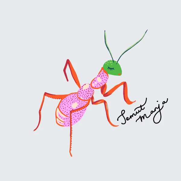在白色背景上孤立的一种五彩缤纷的螳螂艺术 — 图库照片