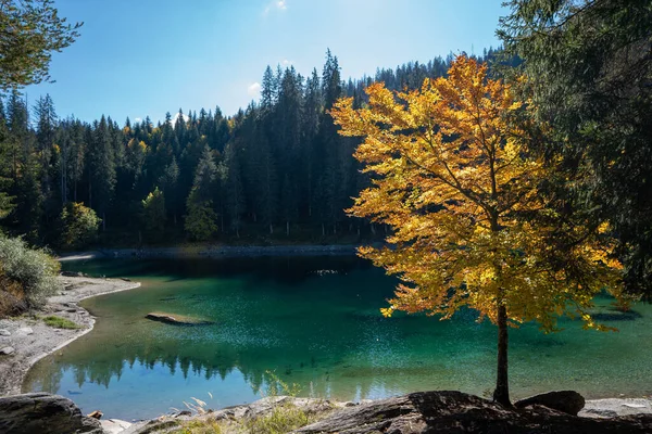 Krajina Jezera Obklopená Stromy Pod Slunečním Světlem Modrou Oblohou Ideální — Stock fotografie