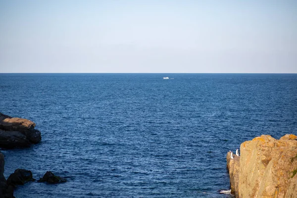 Una Foto Fascinante Hermoso Paisaje Marino Durante Día — Foto de Stock