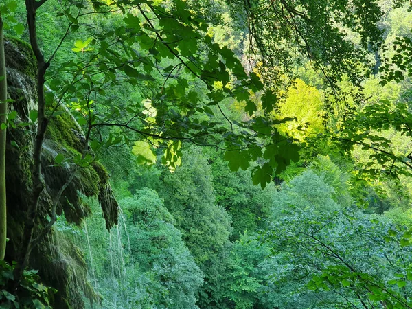 Прекрасний Знімок Скелястого Пейзажу Лісі — стокове фото
