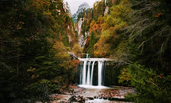 Beautiful Shot Autumn Forest Mountains — Stock Photo, Image