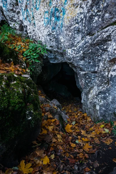 洞窟の近くの地面にカラフルな秋の葉の垂直ショット — ストック写真