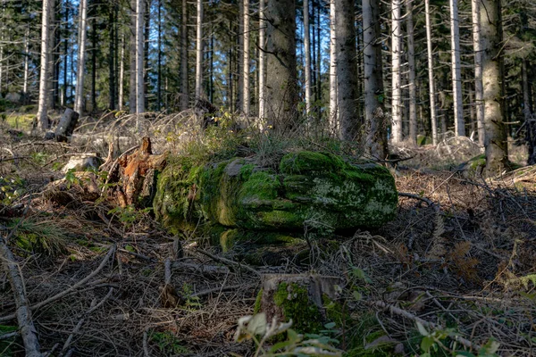 Uma Bela Paisagem Outono Floresta Negra Alemanha — Fotografia de Stock