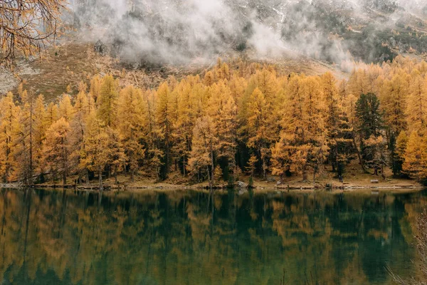 Majestic Shot Reflective Calm Lake Water Autumn Tree Bordering Low — Stock Photo, Image