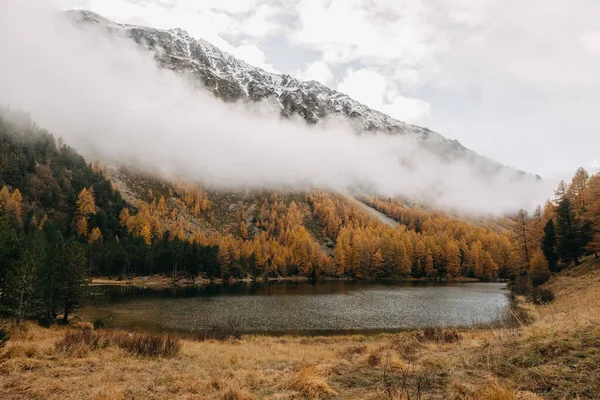 Alçaktan Uçan Ağır Bulutların Sonbaharda Orman Yamacını Kaplayan Fantastik Bir — Stok fotoğraf