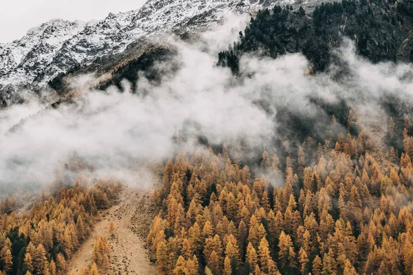 Sonbaharda Yoğun Bir Orman Yamacını Kaplayan Alçaktan Uçan Ağır Bulutların — Stok fotoğraf