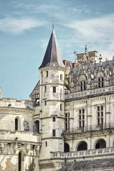 Plano Vertical Del Castillo Amboise Francia — Foto de Stock