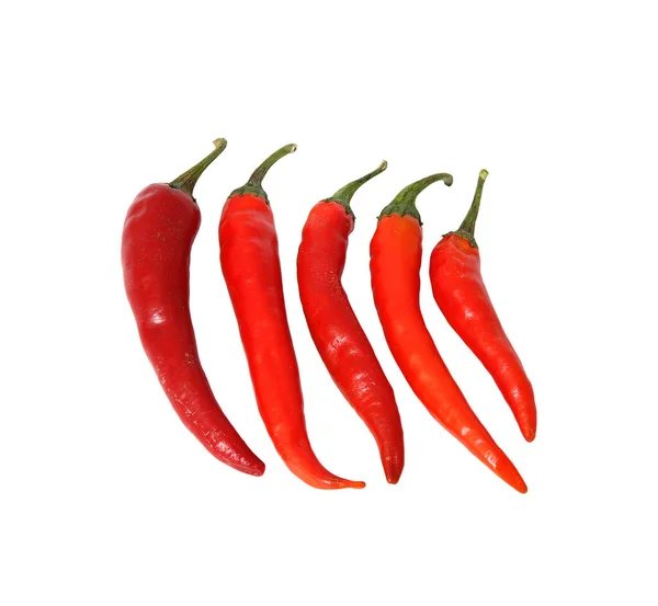 Eine Nahaufnahme Von Roten Paprika Isoliert Auf Weißem Hintergrund — Stockfoto