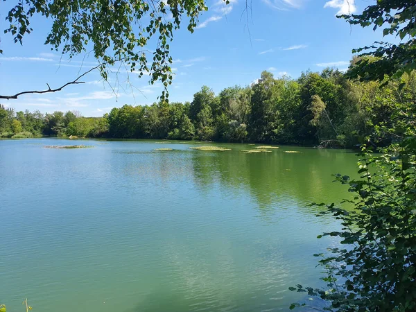 Una Bella Foto Lago Verde Vicino Alla Foresta — Foto Stock