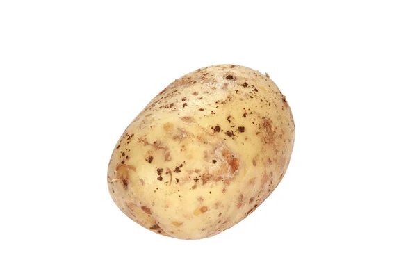 白い背景にジャガイモの選択的フォーカスショット — ストック写真