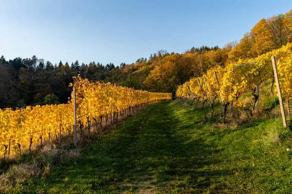 Ett Vackert Höstlandskap Vid Natursköna Solnedgången Schwarzwald Tyskland — Stockfoto