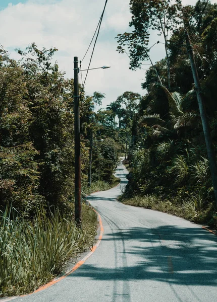 Vertical Shot Road Park — Stock Photo, Image