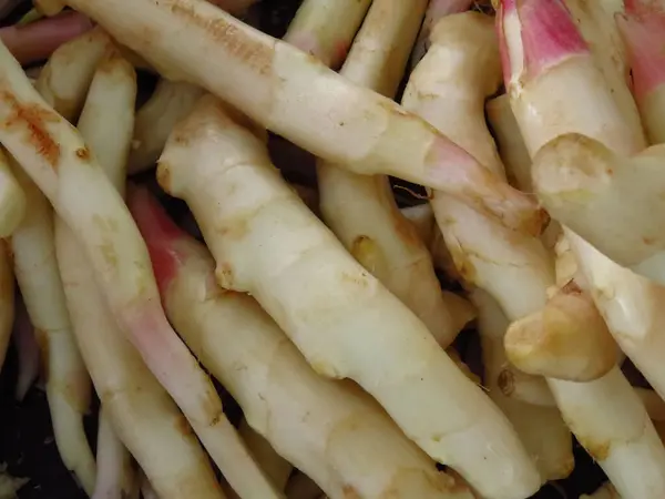 Een Close Shot Van Witte Asperges Groenten — Stockfoto