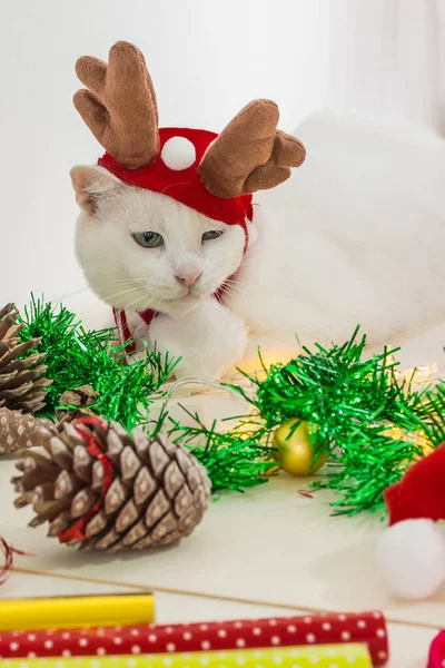 Eine Vertikale Aufnahme Einer Weißen Katze Weihnachtselchhörnern Mit Ornamenten Auf — Stockfoto