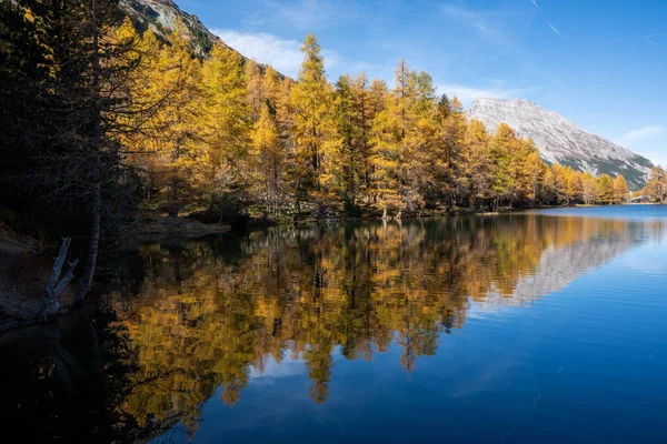 秋天的湖景 被蓝天和阳光下的树木环绕着 — 图库照片