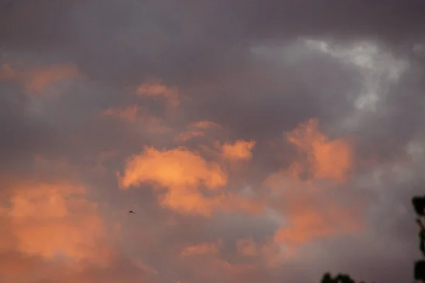 Plano Bajo Ángulo Del Cielo Colorido Capturado Día Nublado —  Fotos de Stock