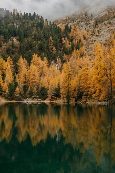 Eine Vertikale Aufnahme Eines Ruhigen Reflektierenden Sees Und Tief Fliegender — Stockfoto