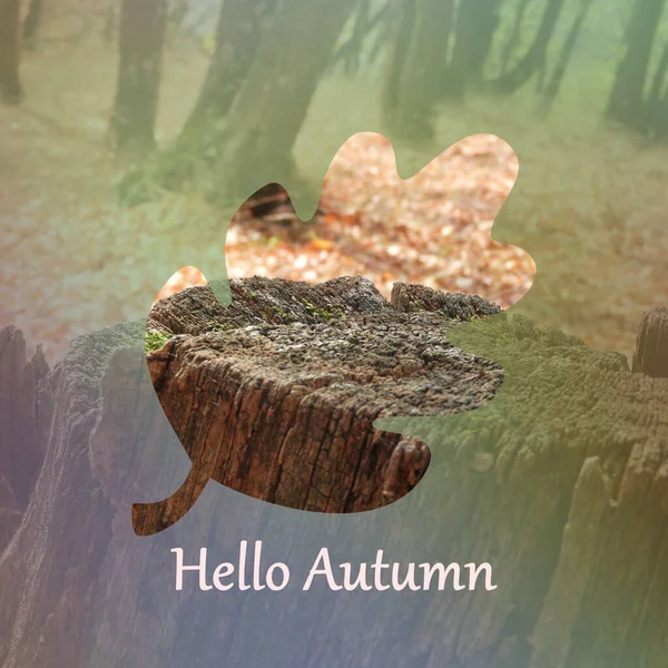 Obrys Listu Nápisem Hello Autumn Pozadí Pařezu Stromu — Stock fotografie