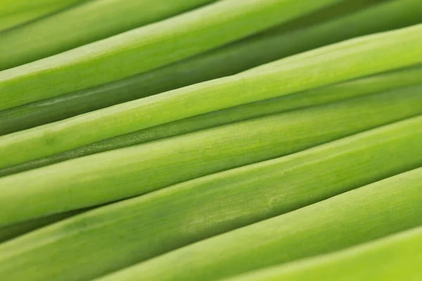 Close Textura Cebola Verde — Fotografia de Stock