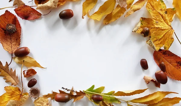 Una Vista Superior Del Espacio Copia Blanco Con Hojas Otoño — Foto de Stock